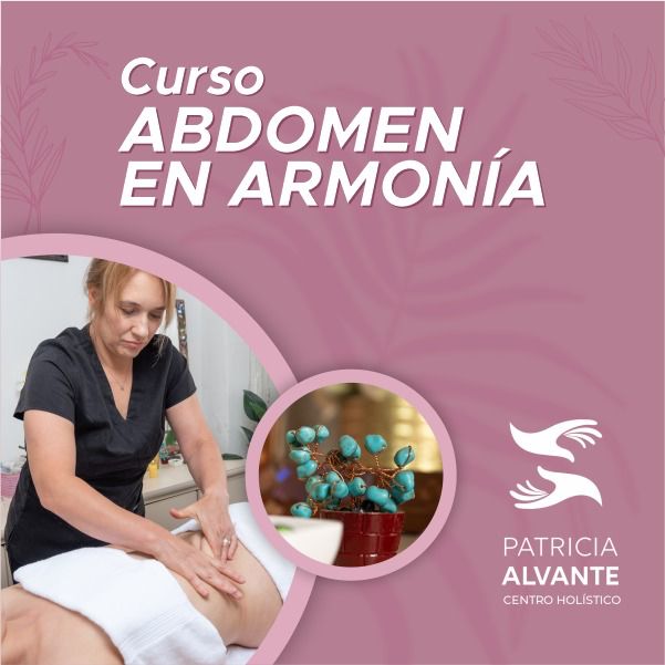 Curso abdomen en armonia Patricia Alvante